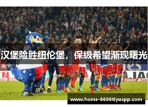 汉堡险胜纽伦堡，保级希望渐现曙光