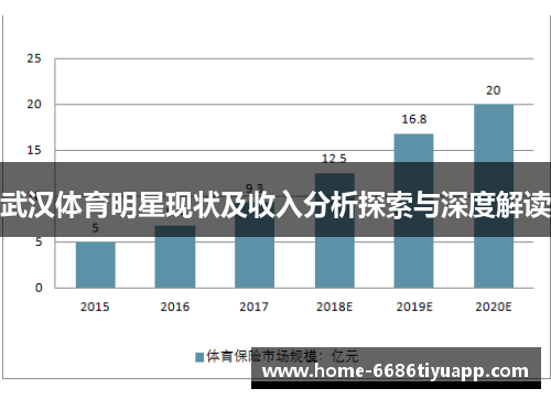 武汉体育明星现状及收入分析探索与深度解读
