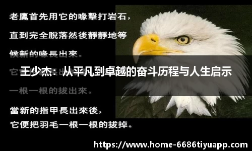6686体育官网